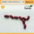 Kidney Beans Market Price Dark Red Kidney Beans